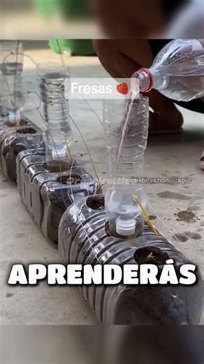 Jaider Ballesteros | 🔴 Ya está disponible la guía completa PASO a PASO para que tengas tu propio HUERTO PRODUCTIVO en CASA 🏡 ¿Quieres el taller/curso completo?... | Instagram