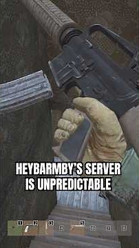 HeyBarmby's Server Is Fun...#dayz