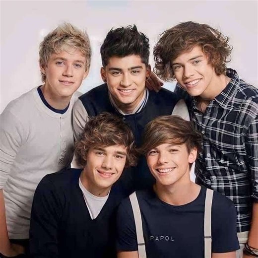 Happy New Year Wishes from One Direction Fans