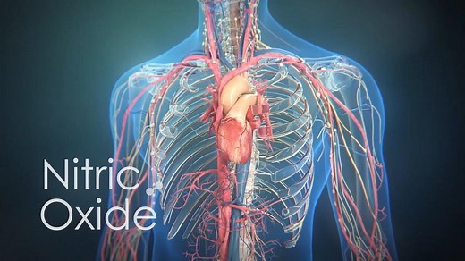 什么是一氧化氮？