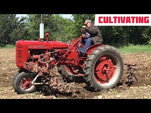 Cultivating with the Farmall 200