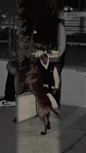 Vidéos de Bechir (@bechir_7) avec Elgrandetoto Blue Love - UMUSIC