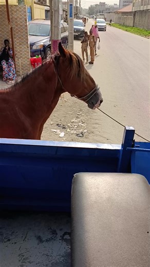 Vidéos de LE ROBOT@23 (@lerobot230) avec son original - Spotify🎧Song