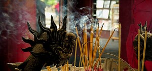 Propriétés et vertus de l'encens sang de dragon - WeMystic France
