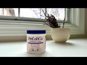 The Best Probiotics for Dogs! 🐶 PetLab Co. Probiotic Soft Chews Review for Gut & Allergy Support