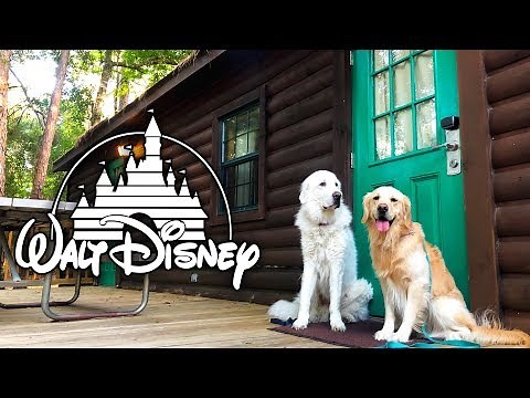 DOGS STAY AT DISNEY WORLD (Camp Wilderness Lodge Cabin) - SCS #193