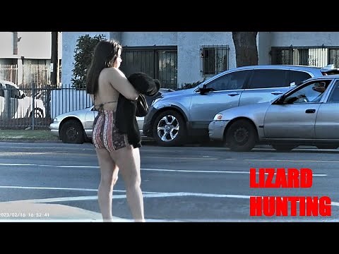 2023 Figueroa Street Los Angeles | Lizard Hunting