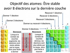 Section 1: L'organisation de la matière
