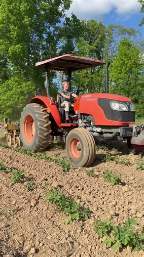 Buffalo cultivator on Kubota M5040