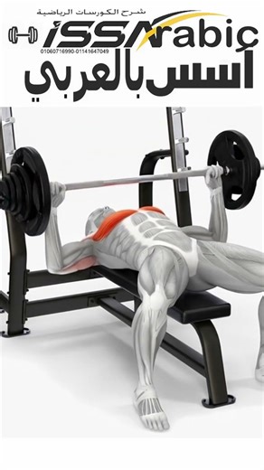 تمارين رياضية بالعربي - مع اسس بالعربي