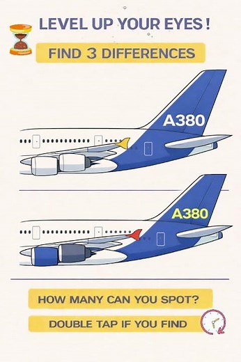 Visual Perception Practice