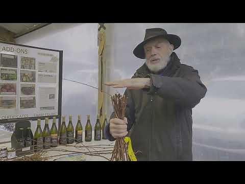 How to Root Cuttings: Trees, Shrubs, and Vines