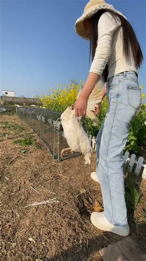 One Wrong Step… And It’s Over! 🦆🔥 #Shorts #Trending #Viral #DuckTrap