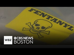 Full Video: Dozens arrested in massive drug cartel bust in New England