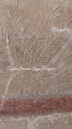 Hunting hippo in the marshes of the Nile in Ancient Egypt!🇪🇬 #kyrllos_egyptourguide #shadow_of_pharaohs | Kyrllos Eskandar-Egypt Tourguide