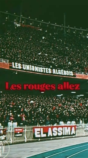 لازم نربحوا ويصرا لي يصرا🔴⚫#oulid_el_virage#إتحاد_العاصمة#usma#crb#jsk#ess#usmh#csc#jss#nahd#rck#mca