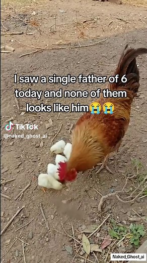 I saw a single father of 6 today and none of them looks like him, and I think he should go for a DNA because, how come none looks like him... Justice for this cock😭😭😭😭😭😭😭😭