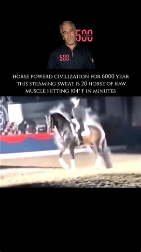 WeirdlyWild on Instagram: "The horse (Equus ferus caballus) is a hoofed mammal that has played a more significant role in the development of human civilization than perhaps any other animal. Belonging to the taxonomic family Equidae, horses evolved over 45 to 55 million years from small, multi-toed creatures into the large, single-toed animals we recognize today. They are highly social, prey animals with a "fight-or-flight" instinct, characterized by their keen senses and impressive speed. Their