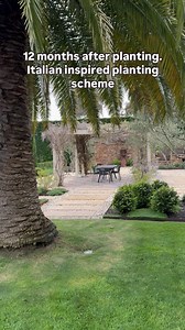 40K views · 48 reactions | #andrewstark #andrewstarkgardens #andrewstarkgardendesign #gardendesign #gardendesignmelbourne #hedges #topiary #pruning #gardenreno #gardenrenovation #gardenlovers #thyme #olives #oleander #salvia #catmint #pomergranite #pencilpines @warnersnurseries @dinsannursery @plantmark | Andrew Stark. Garden Design | Facebook