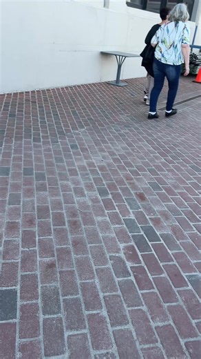 Settled as art. #wearecharliekirk #torpedoartfactory #streetart #fdt #vocalstim