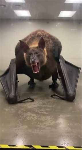 BIO-REALM ARCHIVES // File B-04: Subject \\zeta-12