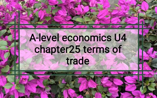 alevel economics 经济学U4 chapter25 terms of trade