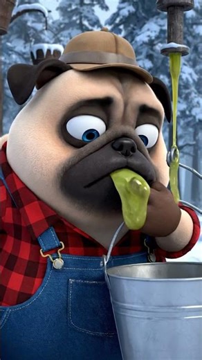 Chubby Pug Saves Family Business! 🍁🐶 Syrup Hero #shorts