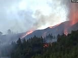 Canary Islands volcano melts trees as rocks and smoke spew out