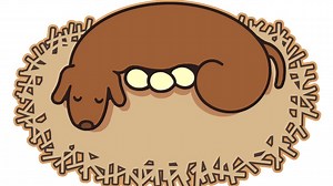 HAL Laboratory Celebrates 40th Anniversary With New Website And Artwork