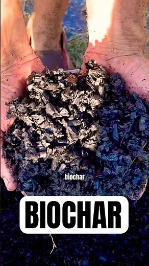 Biochar Made EASY — 3 Simple Ways to Supercharge Your Soil