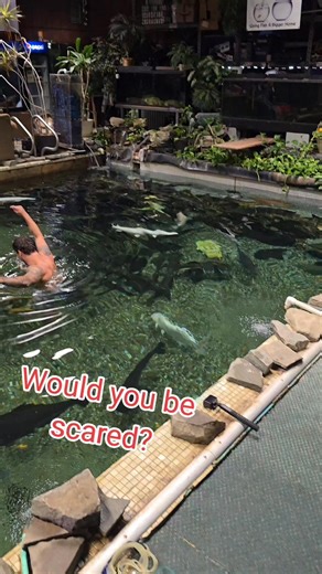 always have to watch those gar! #fish #aquarium #pond #reels | Ohio Fish Rescue