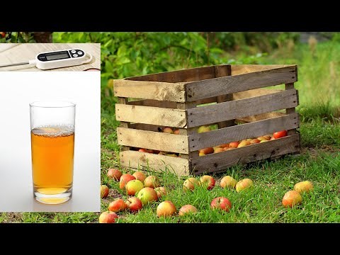 How to easily #pasteurize fruit juice at home? #DIY