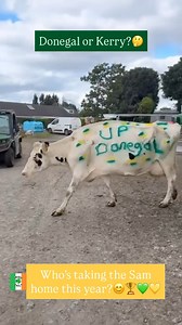 101K views · 1.1K reactions | Vote now: Who’s lifting the Sam Maguire? Good luck to both teams in the All-Ireland Football Final!☘️ Let the best team lift Sam!  #AllIrelandFinal #Donegal #Kerry #GAA .  @nicola.callaghan ☘️ #irish_daily #reelsoftheday #allirelandfootballfinal #UpForTheMatch #SamMaguire | Irish Daily | Facebook