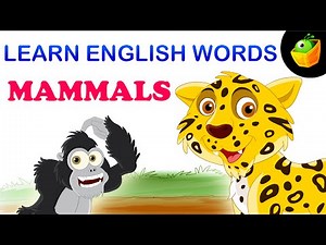Mammals - Pre School - Learn English Words (Spelling) Video For Kids and Toddlers