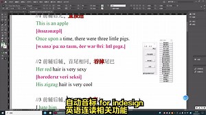 自动音标 for indesign插件，英语连读相关功能