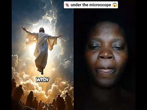 Cockroach under the microscope 😱.