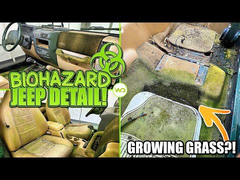 Moldy Jeep barn find receives full disaster-level restoration