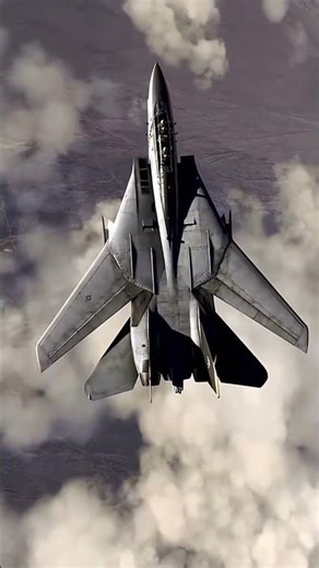 "Bird vs Fighter Jet – Nature's Speed Machine Will SHOCK You! 🐦✈️"