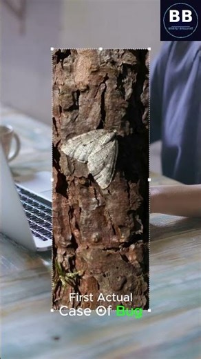 The Gross Origin of "Debugging" 🪳 #History #Coding #Tech