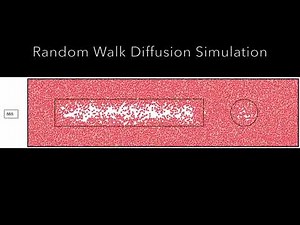 Random walk simulation