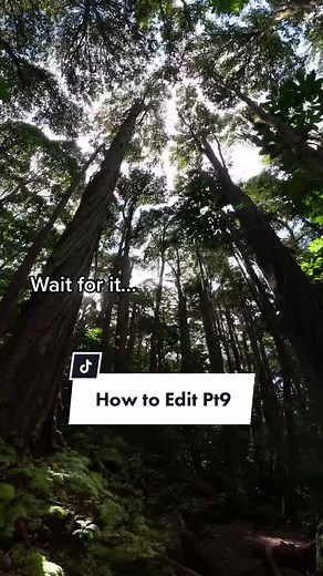 Reply to @eileen.mp4 THANK YOU ALL FOR 100k🥳🥳 #SwitchTheChobaniFlip #photographytricks #editingphoto