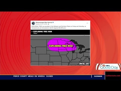 Do trees explode from extremely cold temperatures?