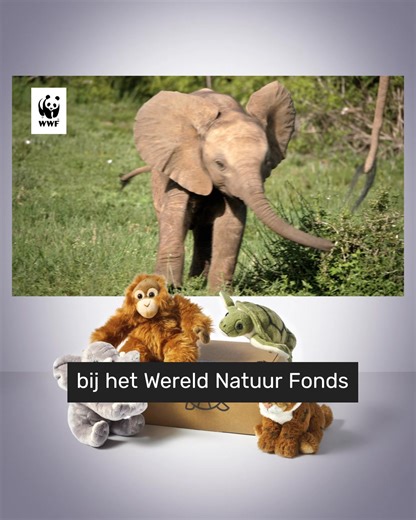 Heb jij onze nieuwe commercial al op tv gezien? 😍 | Wereld Natuur Fonds - WWF