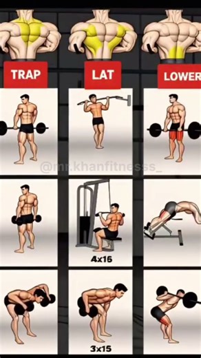 Full Back Workout | Bigger & Wider Back 🔥 | trap workout | lat workout | lower back Workout #shorts