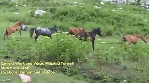 10K views · 396 reactions | A short documentary from Kumrat via the beautiful Badgoi Pass border area Between Swat and Dir Upper (24.07.17) #KPKUpdates #KPTourism #KumratValley | PTI Official Videos | Facebook