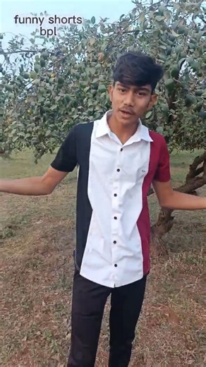 #funnyshorts#bpl#channle# sweet#berries#banaganapalli#viralvideo#viralshort# Telugu#PETA#address#🍒🍒#
