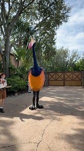 16K views · 582 reactions | Kevin from ‘Up’ dances at Disney’s Animal Kingdom before walking away (and saying goodbye two more times!) She roams around the Discovery Island area and a bit into Asia. I took this video last week. #disneysanimalkingdom #animalkingdom #dak #pixarup #disneycharacters #wdw #waltdisneyworld #disneyworld #pixarkevin #pixarcharacters | Mousesteps | Facebook