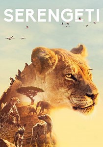 Serengeti Season 1 - watch full episodes streaming online