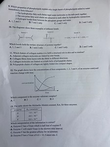 Which properties of phospholipids explain why single layers of ... | Filo