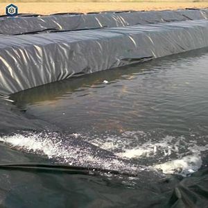 [Hot Item] High Density Polyethylene Geomembrane Fish Pond Liner 0.5mm for Aquaculture